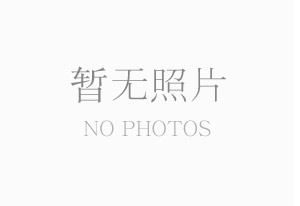 苯乙烯酚醛樹(shù)脂